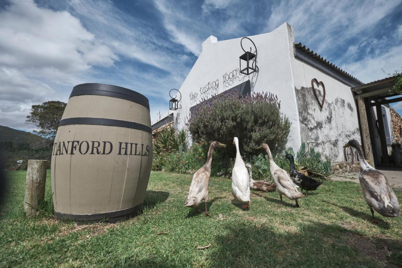 Villa Africamps At Stanford Hills Esterno foto